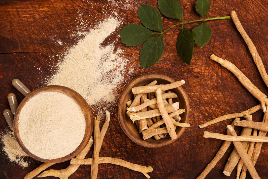 Ashwagandha Health Benefits Being Studied Today - Himalaya Wellness (US)