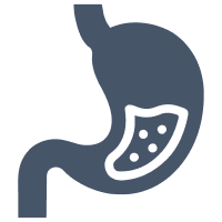 Improves digestion regularity*