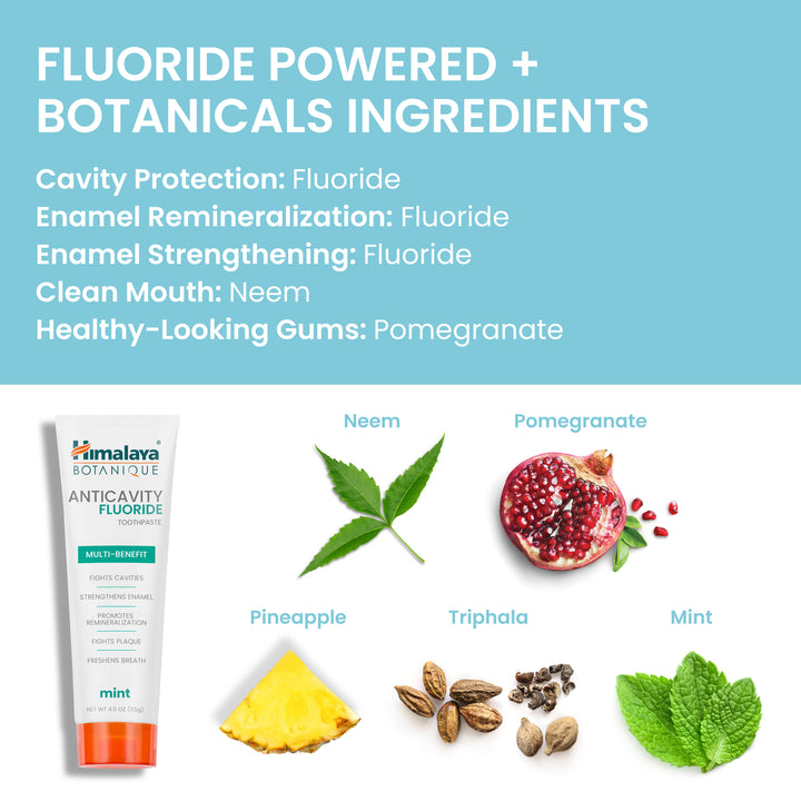 Anticavity Fluoride Mint Toothpaste