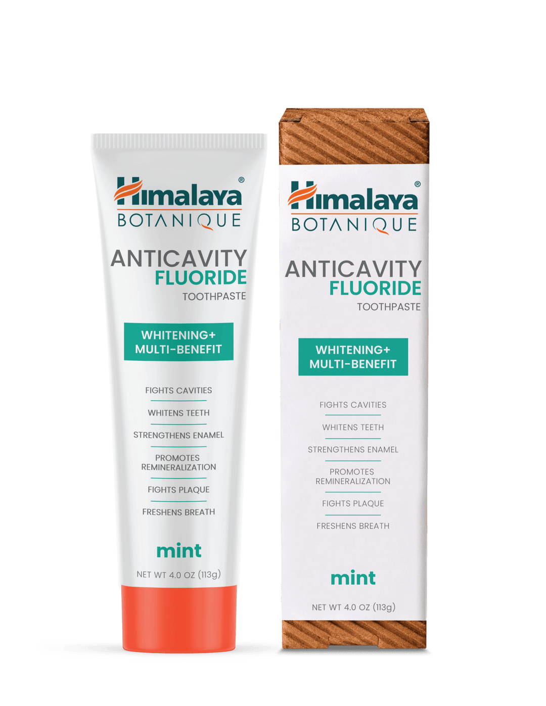 Anticavity Fluoride Mint Toothpaste - Himalaya Wellness (US)