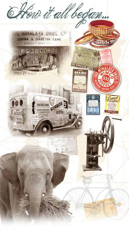 From Humble Beginnings