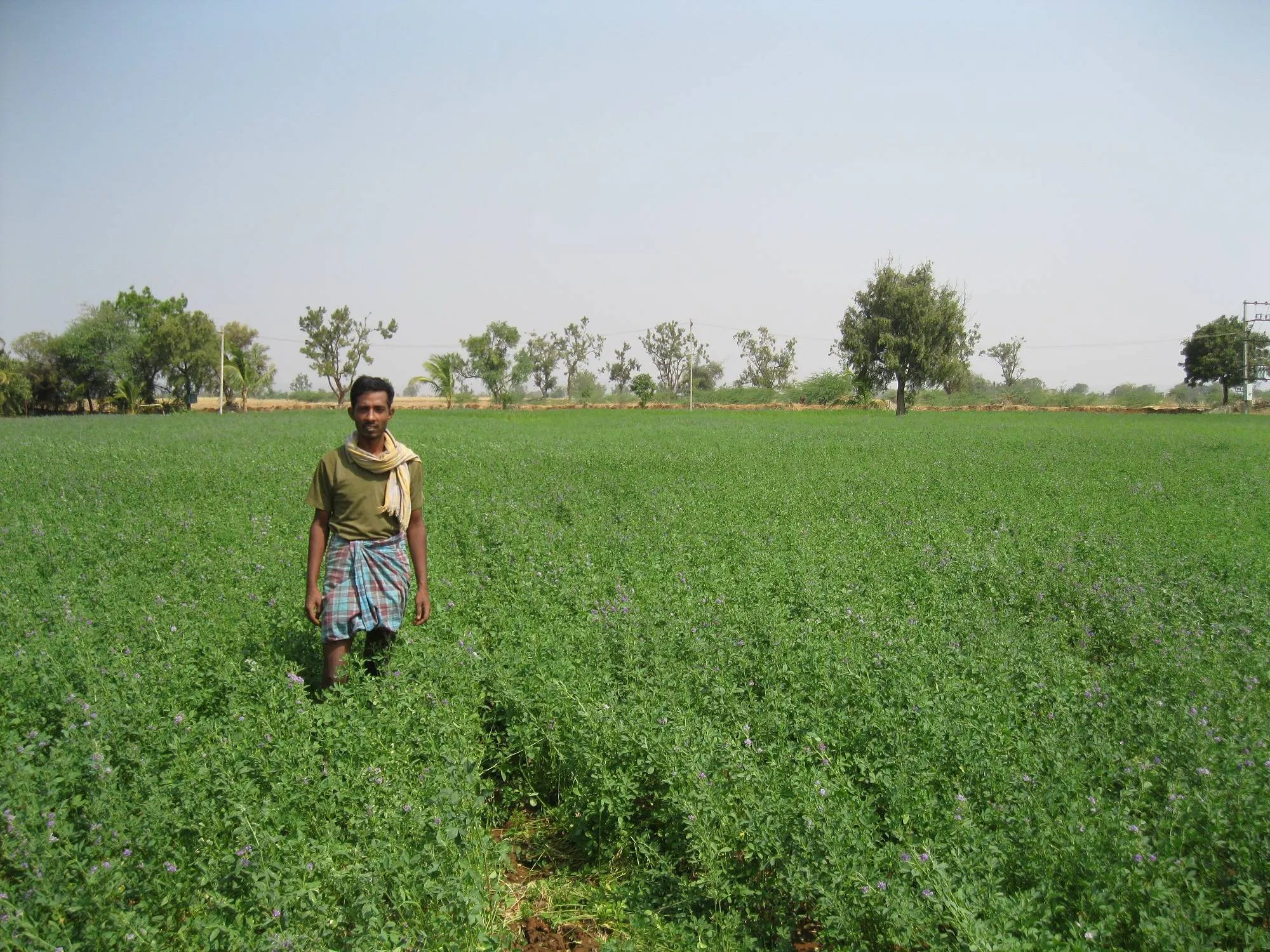 Commitment to Farmers