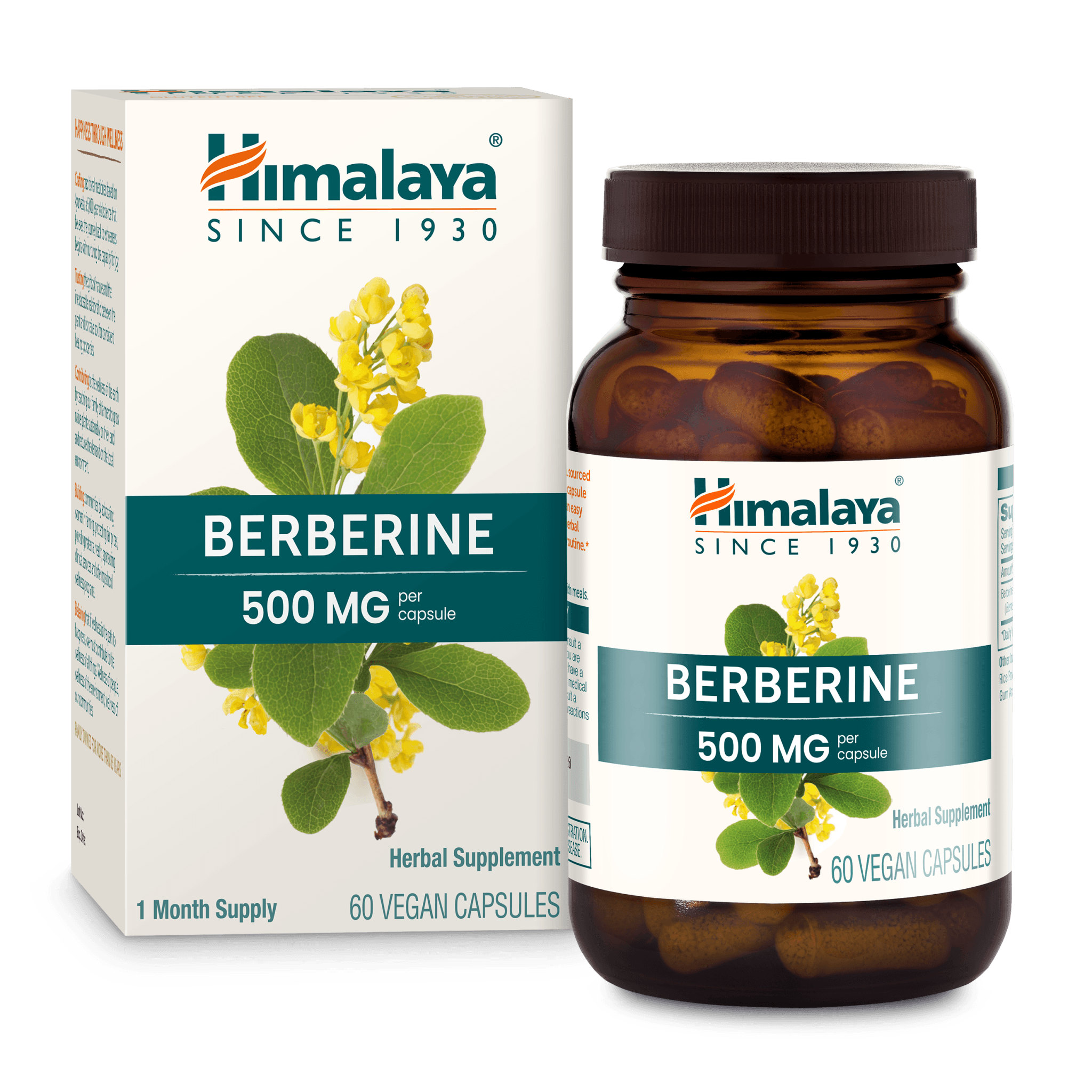 Berberine Before & After: Weight Loss & Beyond - wbb9n1l